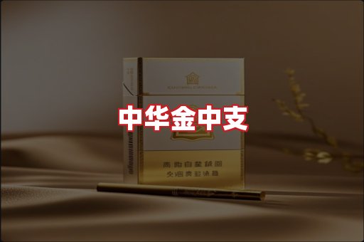 中华金中支